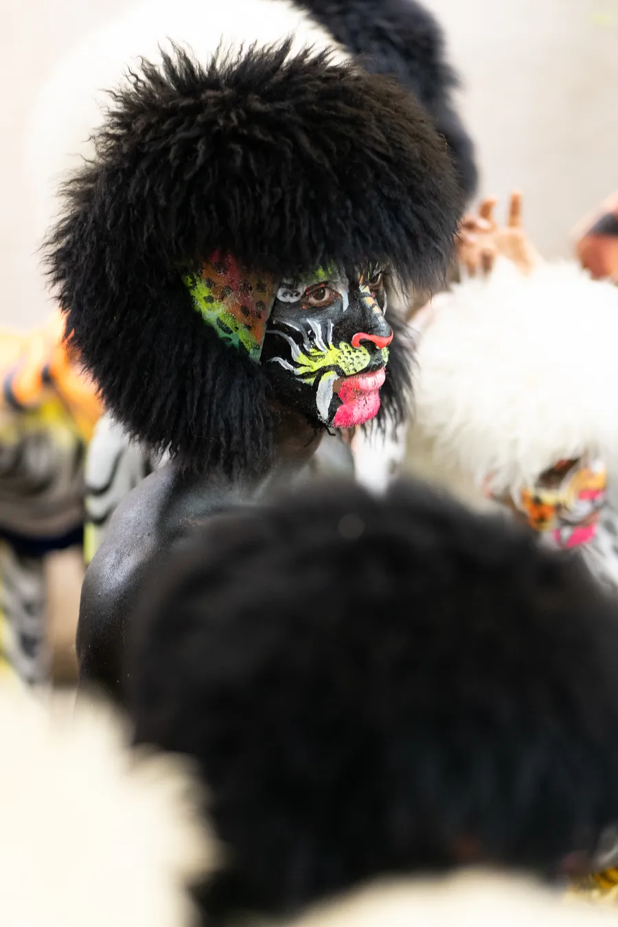 Close view of a black-painted Pili Vesha performer with tiger face paint and a furry black headpiece.