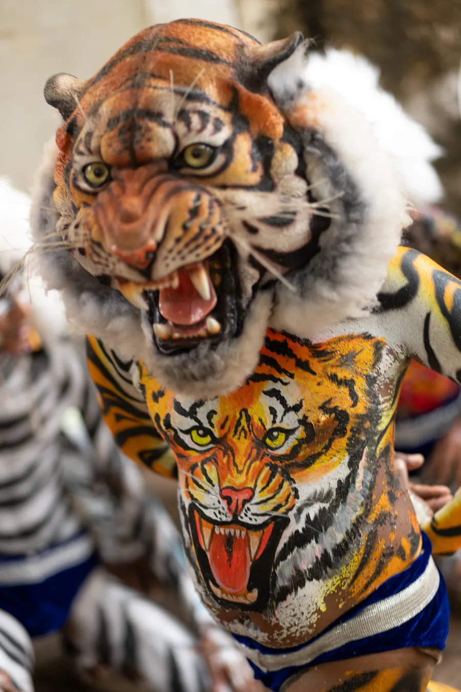 Pili Vesha performer wearing a tiger mask above a painted tiger face on their torso.