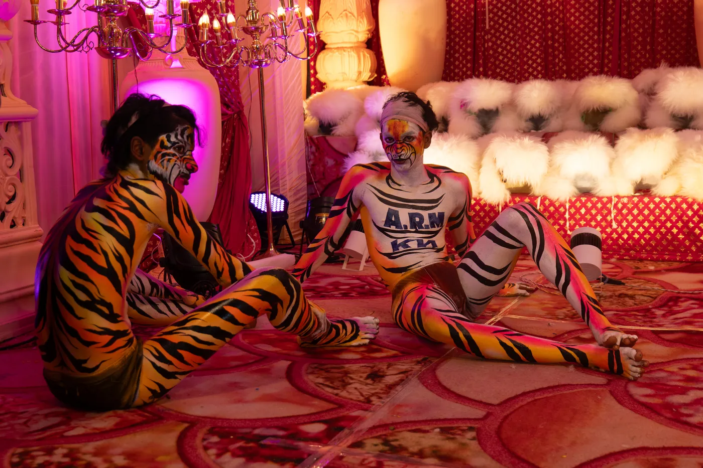 Two tiger-striped performers sit on a patterned stage beside rows of white furry headpieces.