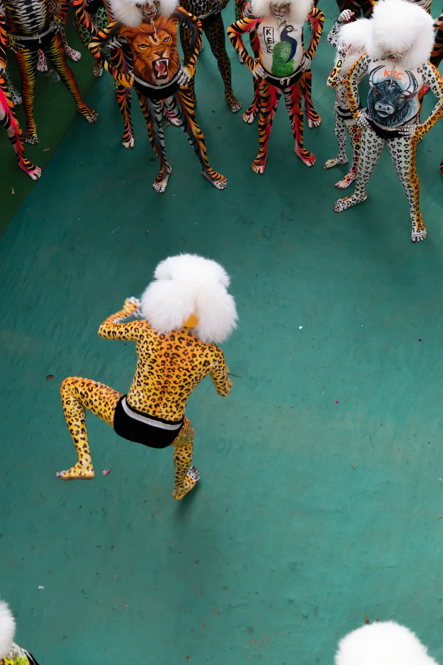 Overhead view of a spotted performer in a white furry headpiece dancing before a circle of performers.