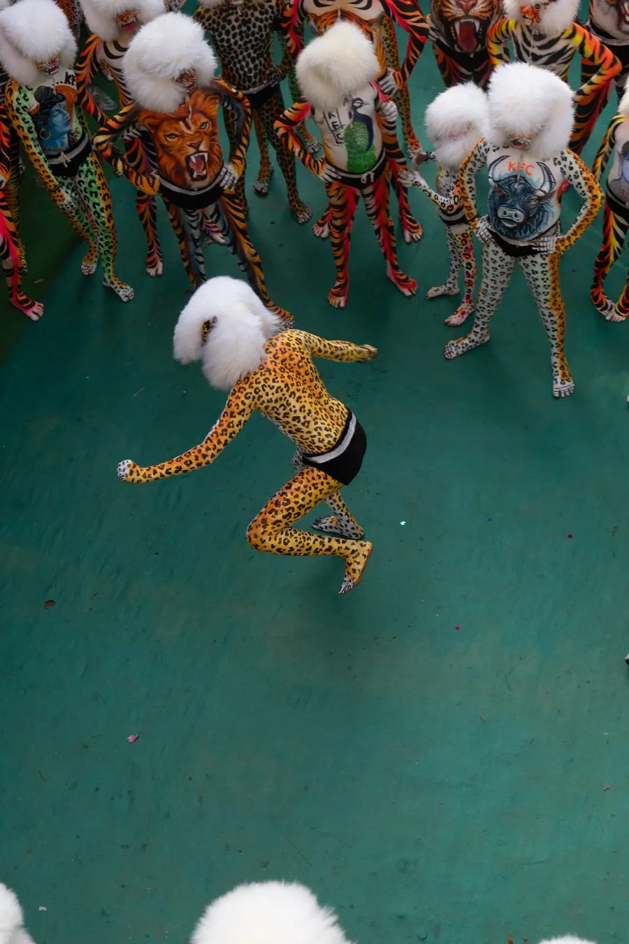 Overhead view of a spotted performer in a white furry headpiece moving across a green carpet.