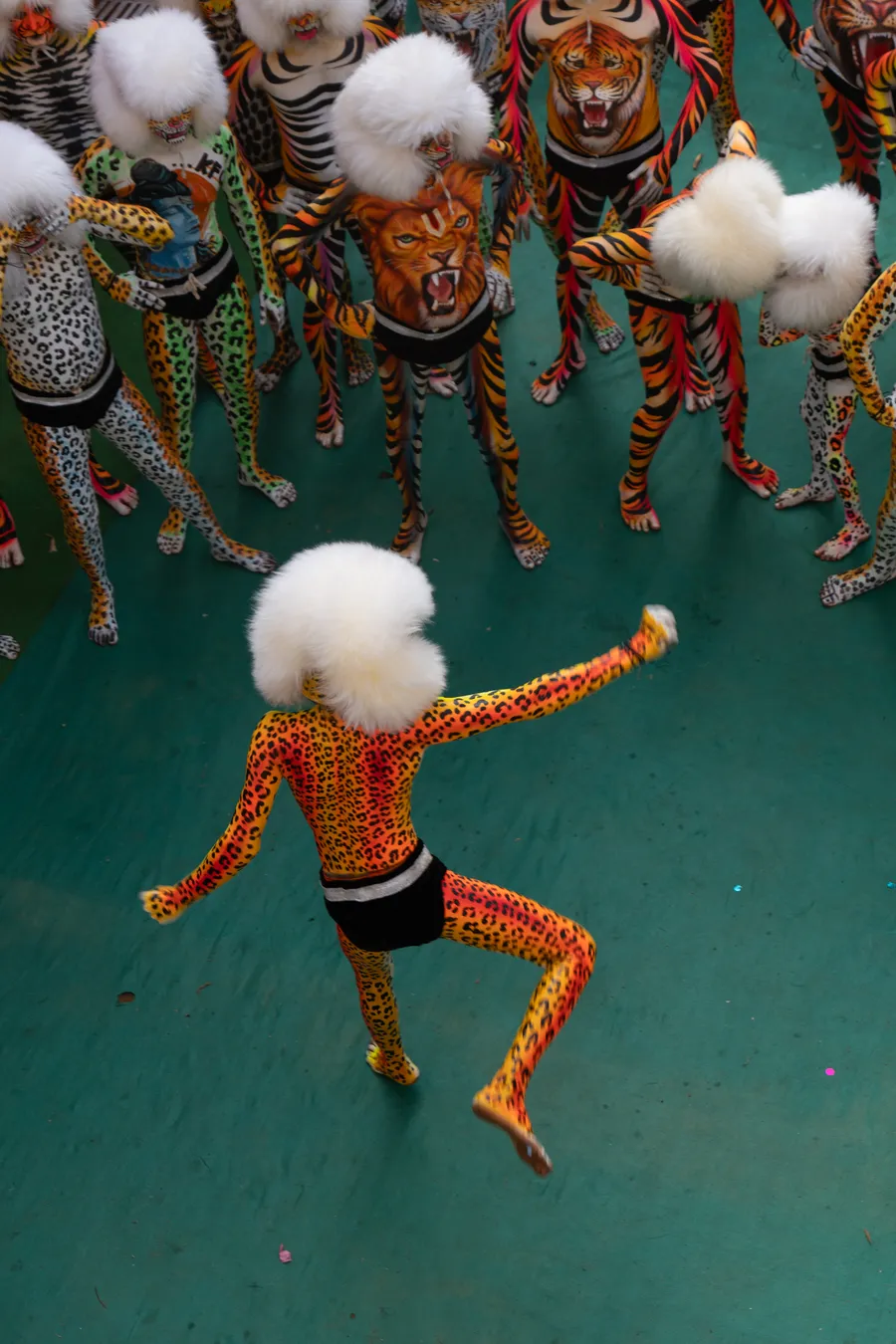 Overhead view of a spotted performer with a white furry headpiece dancing before a semicircle of performers.